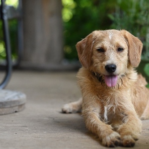 Fundraising Page: Major Tom Lobb